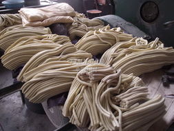 紡機(jī)智造 萬(wàn)里行 欄目組走進(jìn)無(wú)錫市三惠橡膠業(yè)工貿(mào)