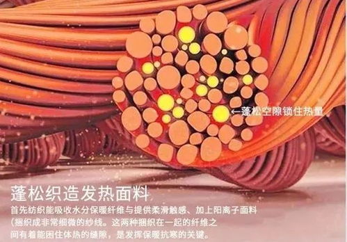 簡單好看的冬季穿搭 顯瘦又高級 時髦到爆